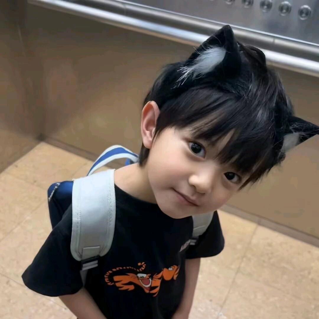 太聪明