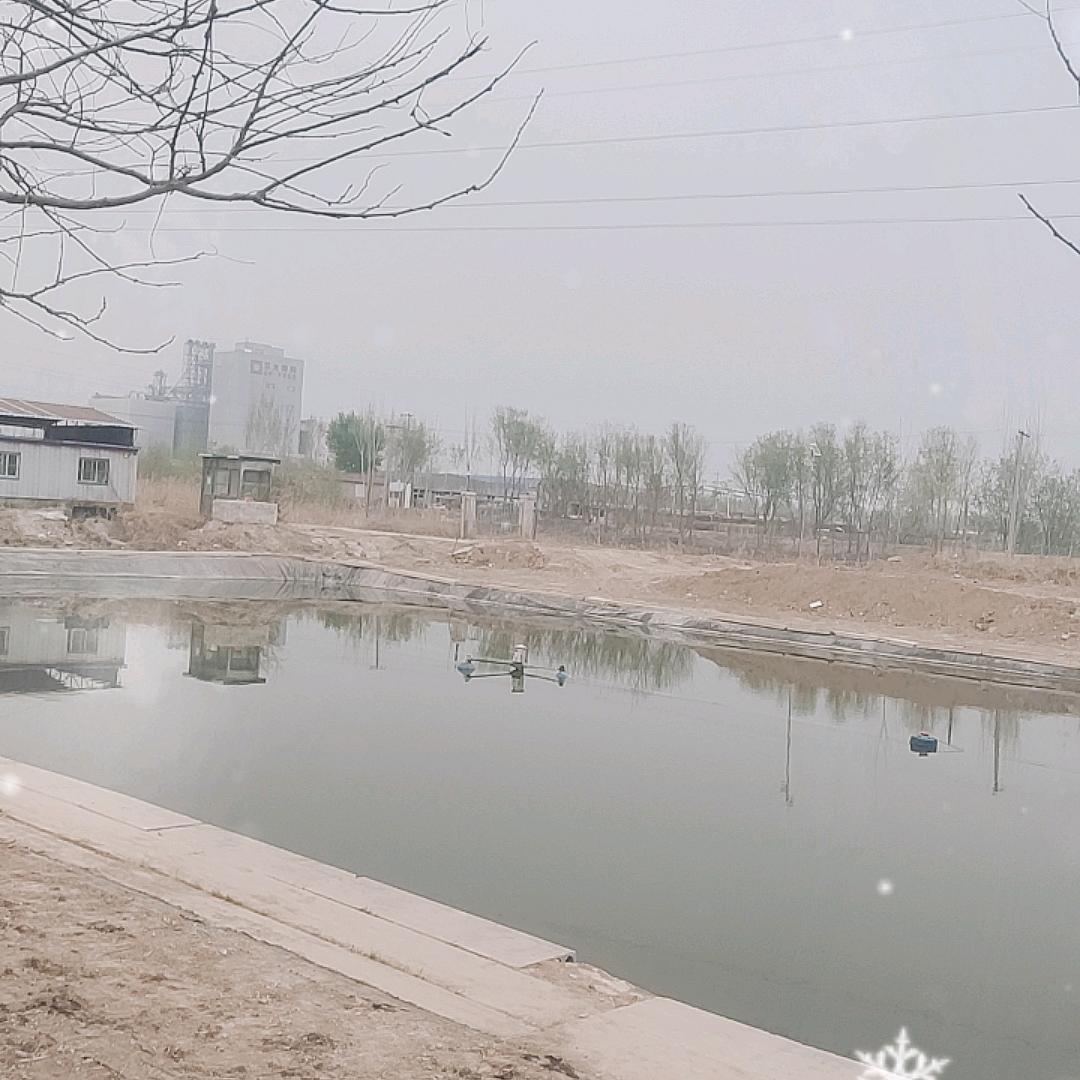 快乐垂钓园