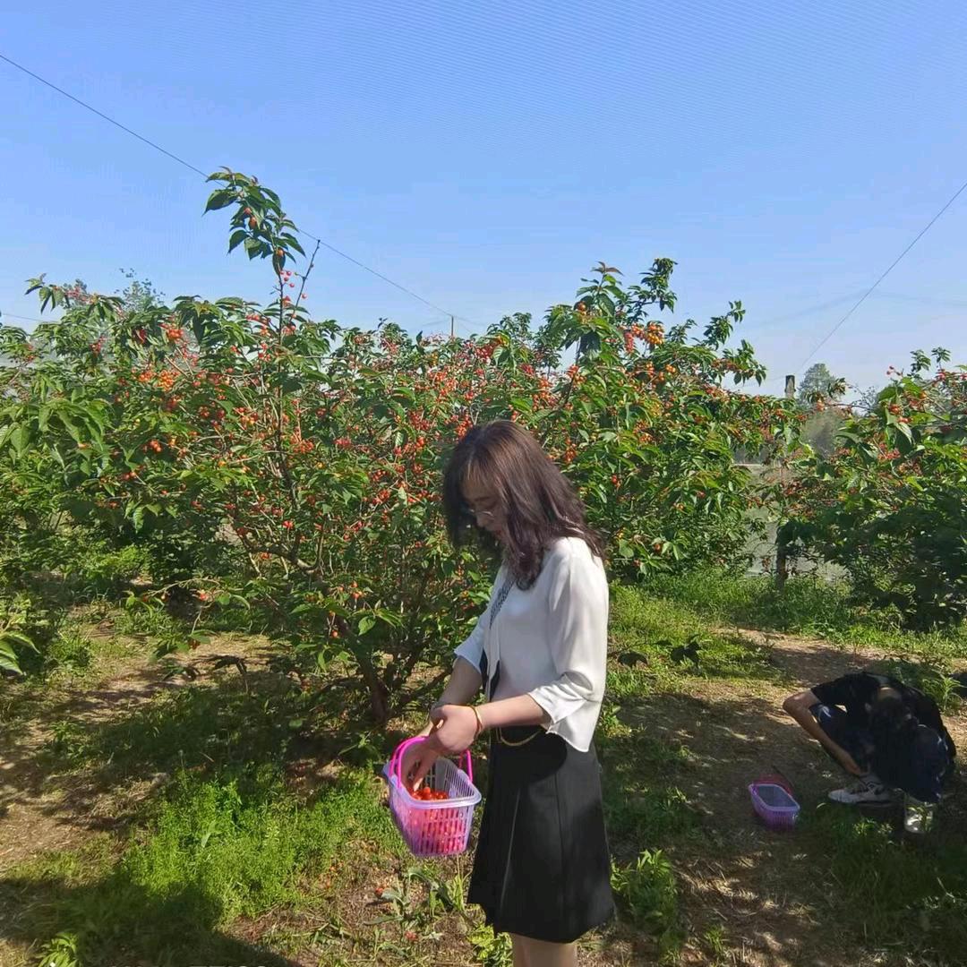 钱包很陈