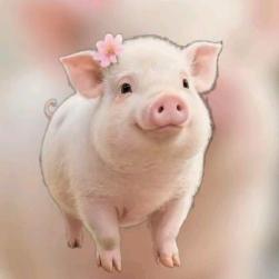 ℋღ᭄吉翔平安🍒᭄💞࿐