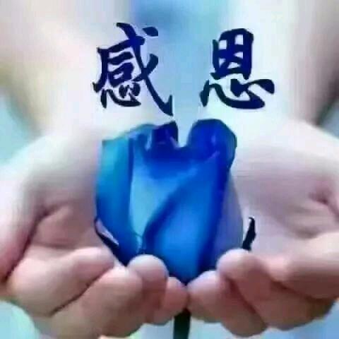 呈妈寻子成功