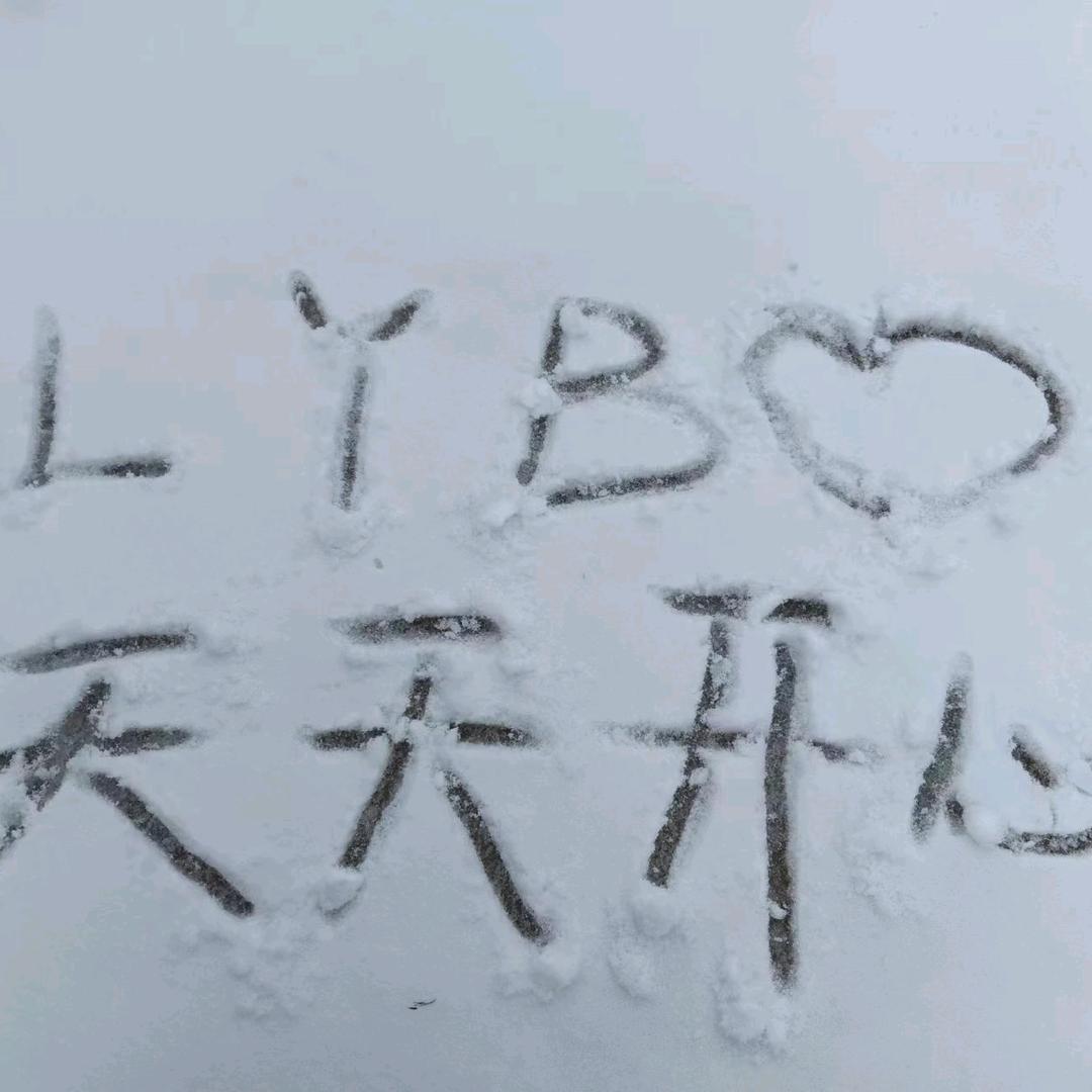 天天摆烂，