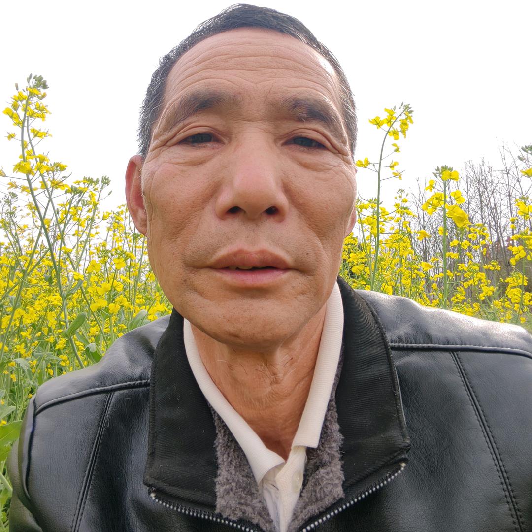 河南周哥（晚上 6:20）