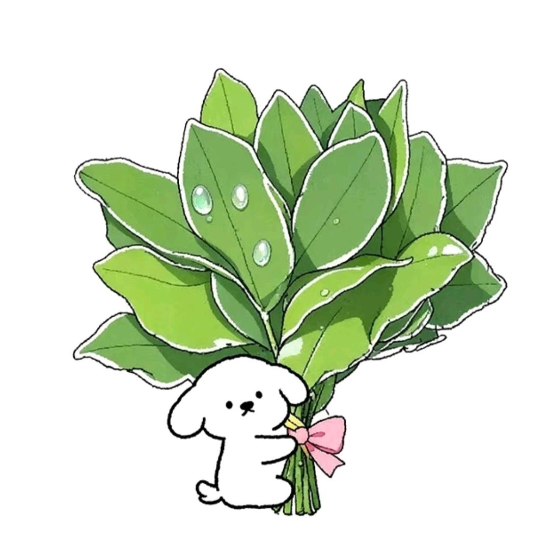 西红柿不炒蛋