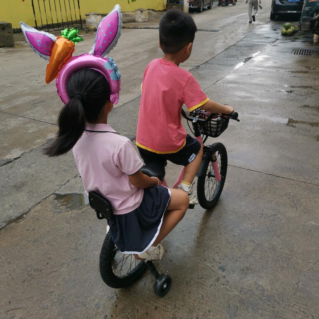 小崽崽