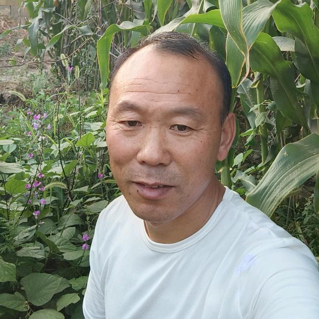 乡村顾哥