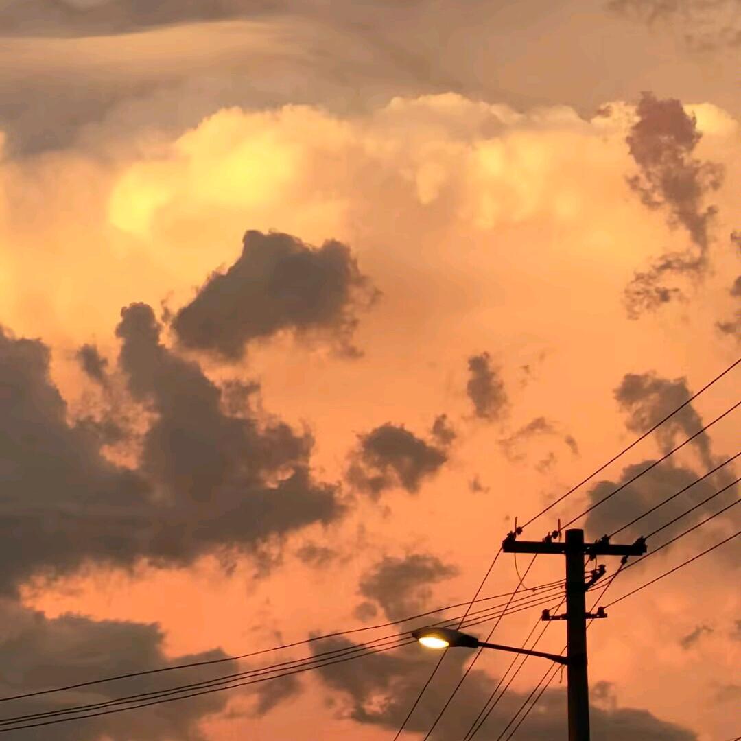 霖羽