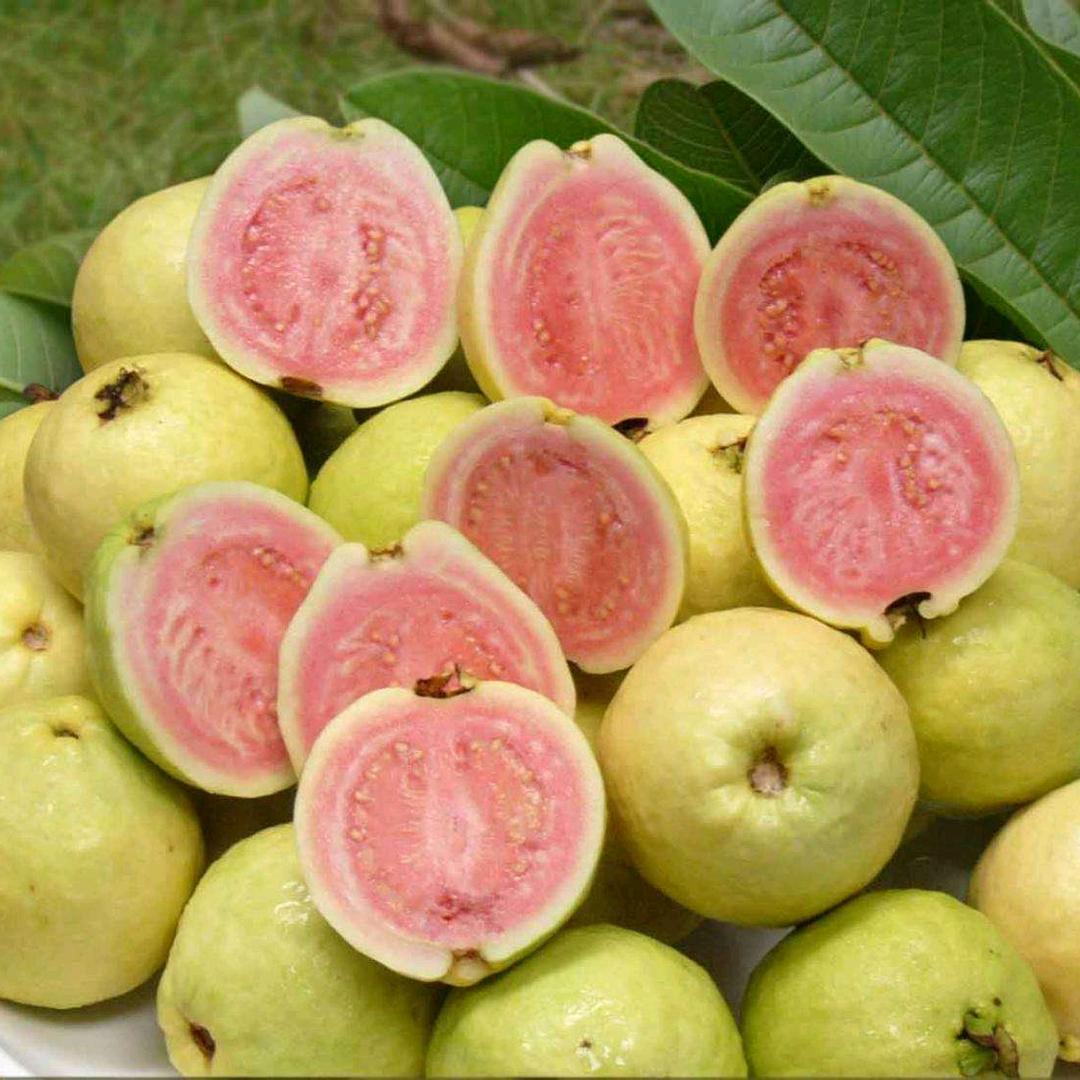 小李鲜果
