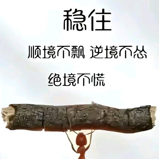 静心