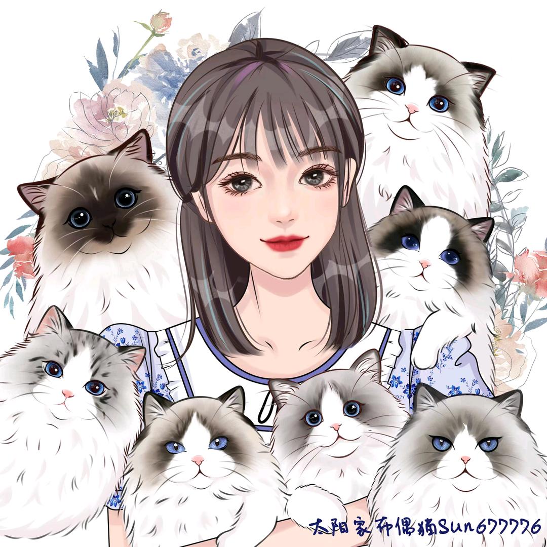 太阳家的猫猫乐园