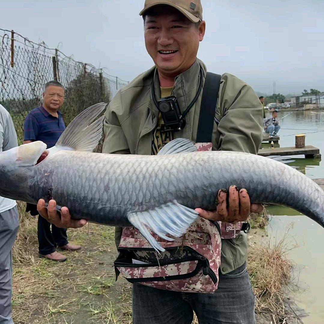 狂人垂钓（周仁）