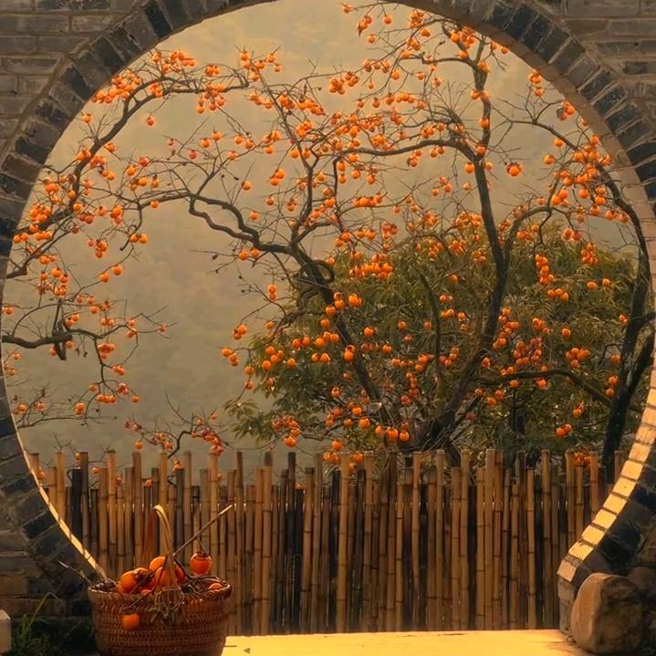 睡不着的泡泡糖：💤