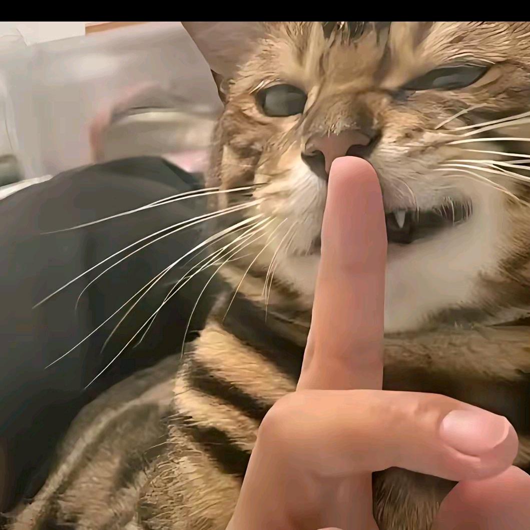 情绪