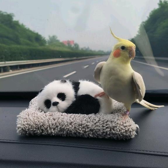 火星海
