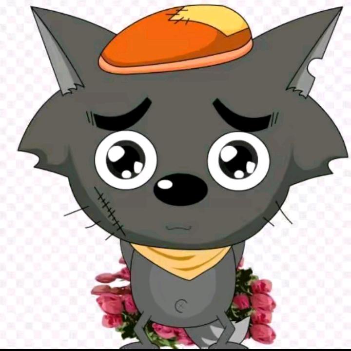 灰太狼😂😂😂
