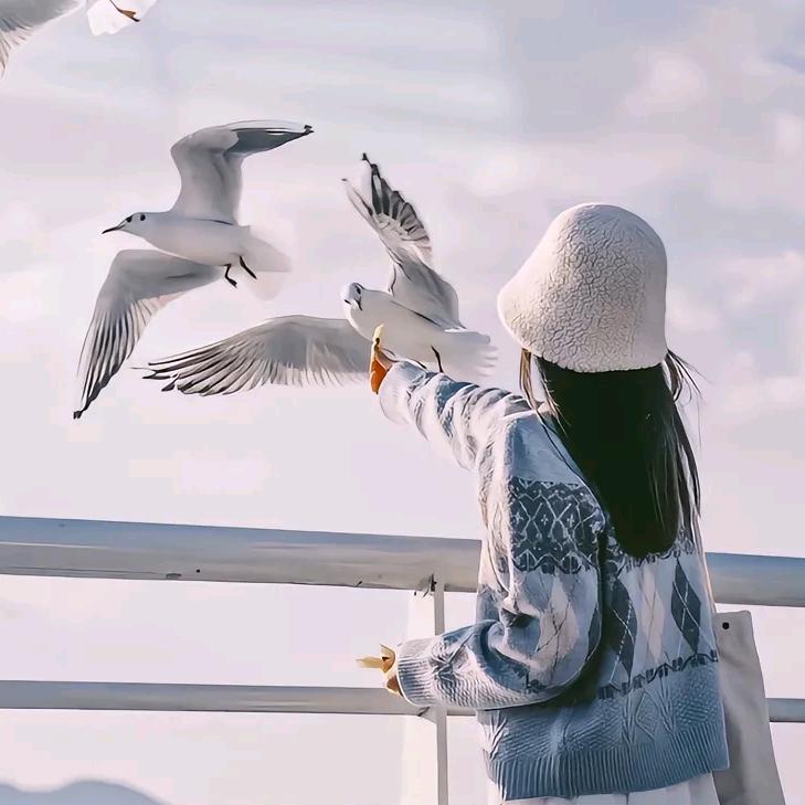 高新园碰碰捌24小时自助台球-麦当劳楼上