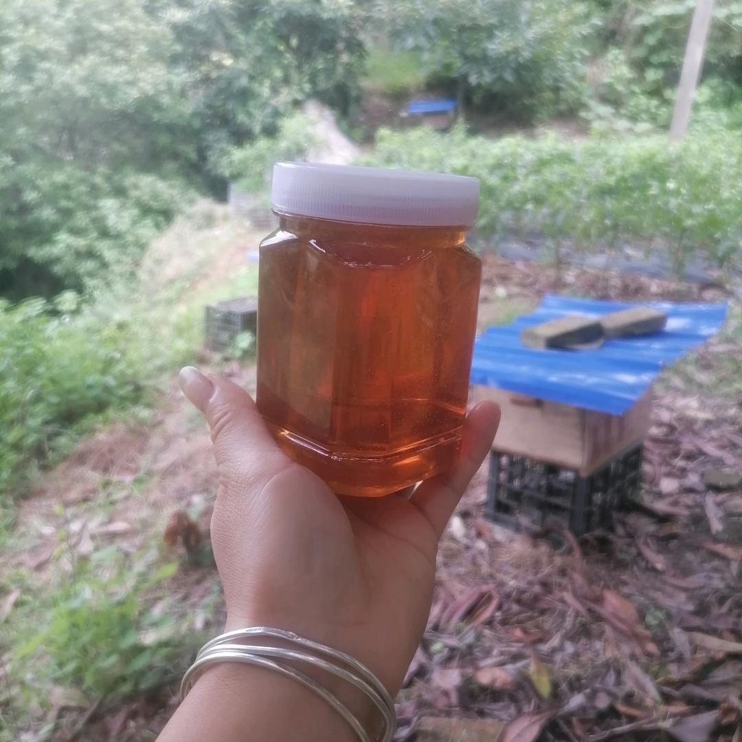 丽丽