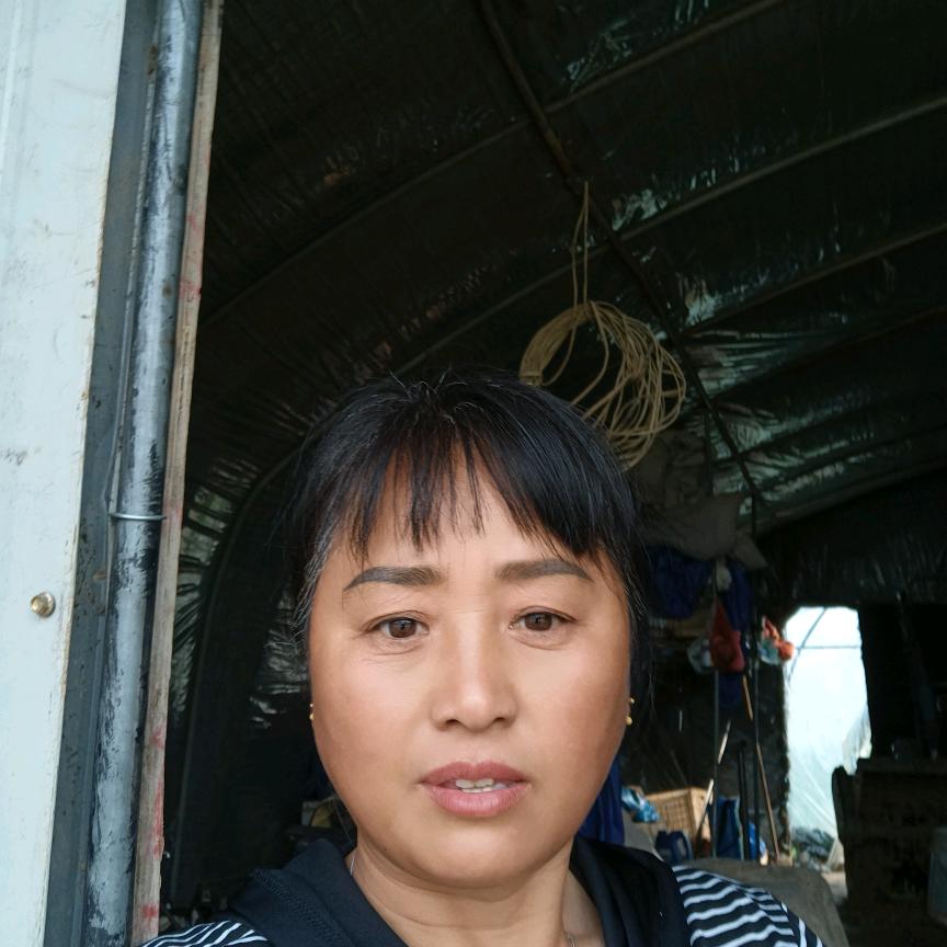 刘明群