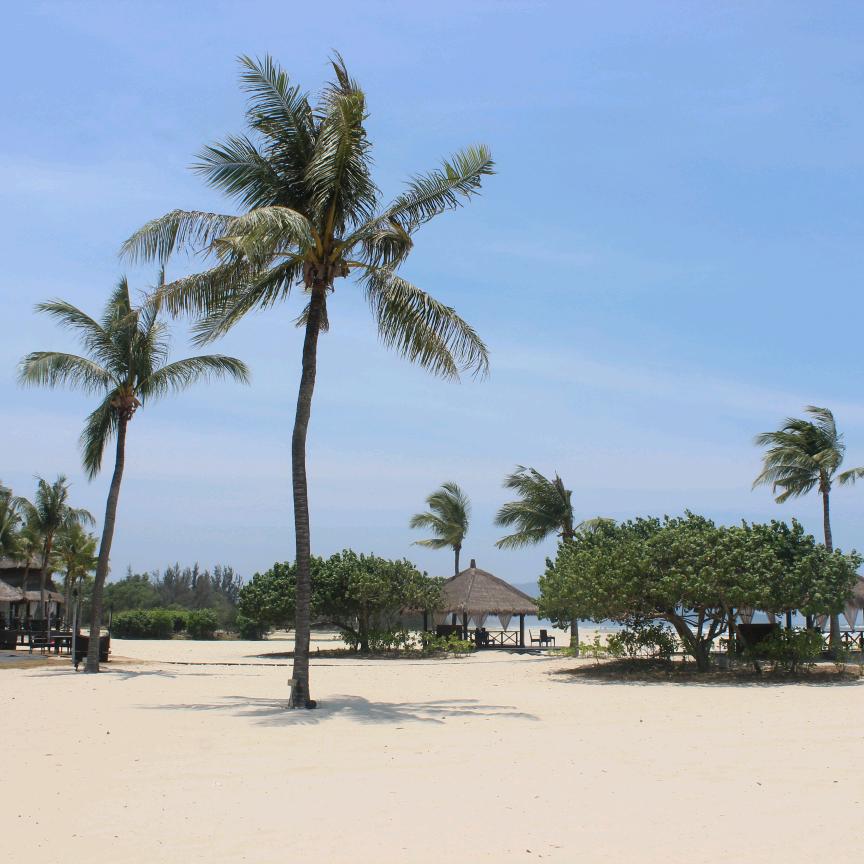 宣爱斯特-韩国号