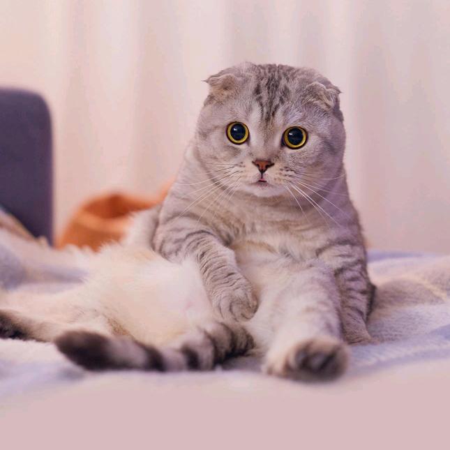 🌈陪🌈伴⁸⁸¹⁶