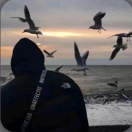 ℒᎭℯ今生🇨🇳