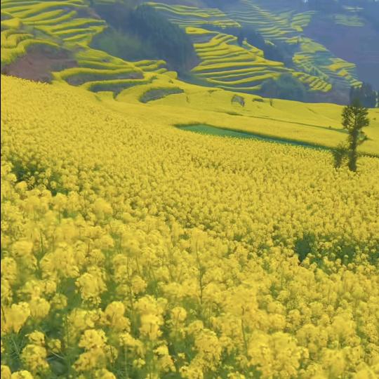 握不住的沙就把他扬了。