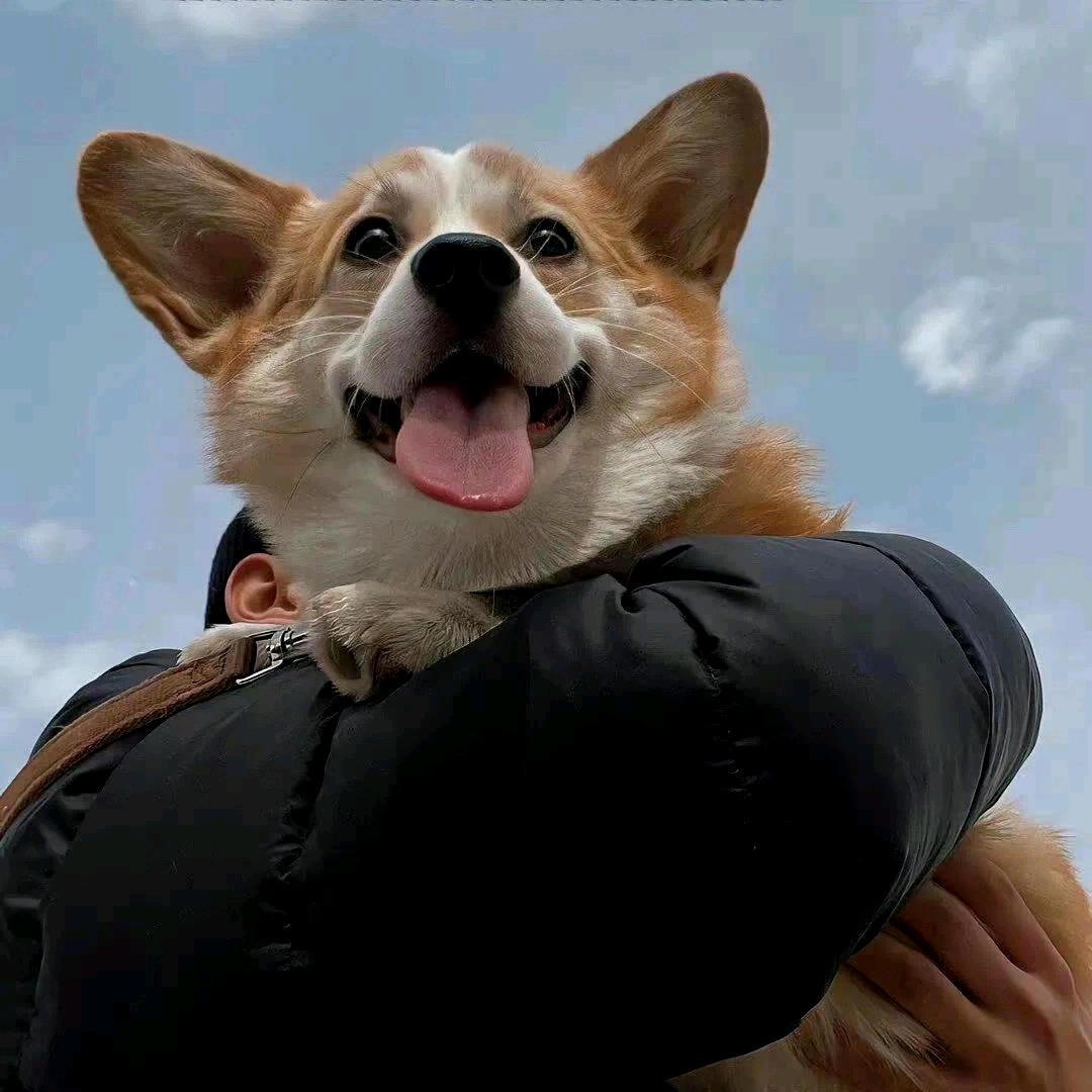 FF
