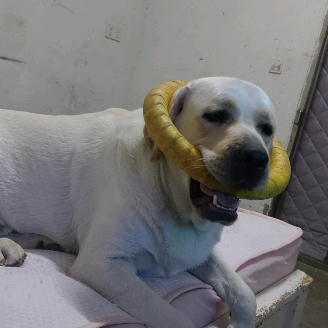 鸠江区主流电子游戏俱乐部（个体工商户）