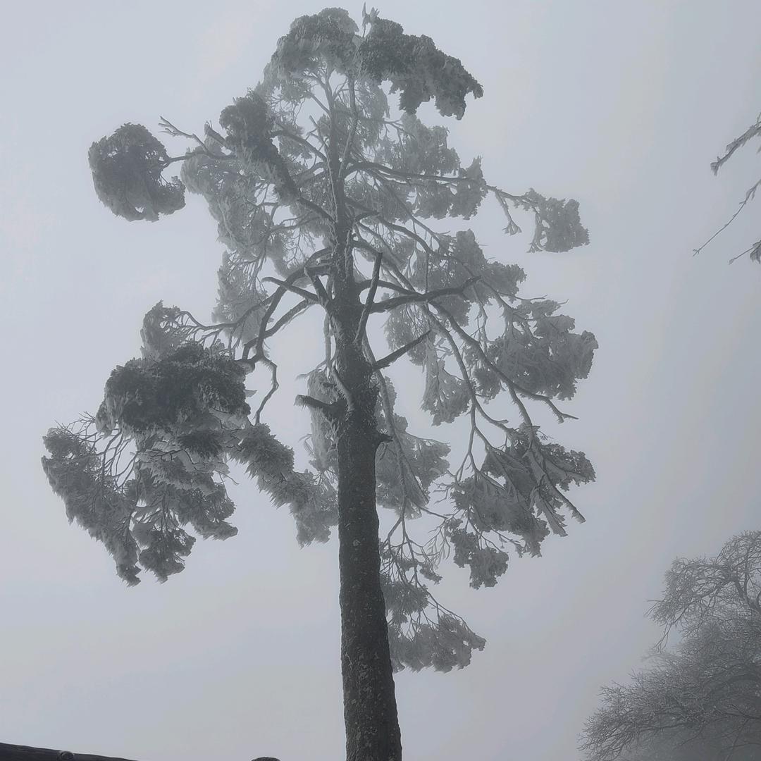 慕--然