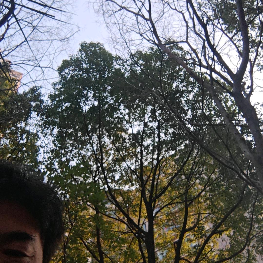 让你有个温心的家