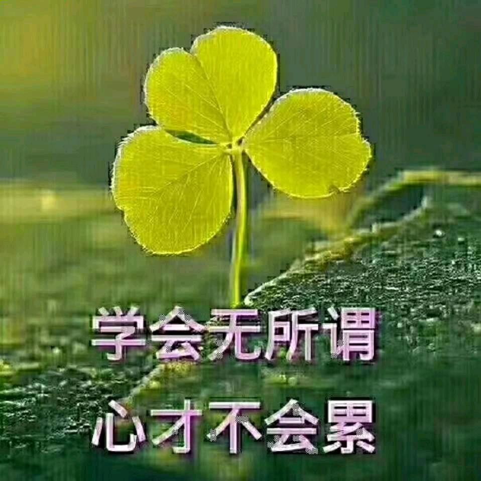 开心果🌺🌺🌺