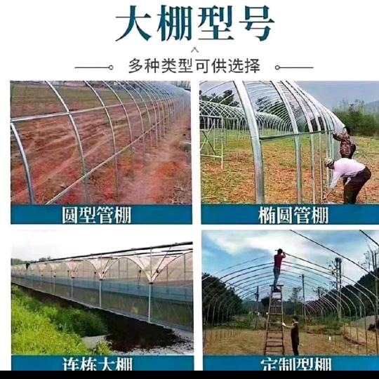 AA承接各类大棚