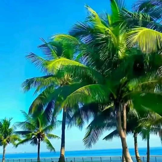 （｡ò ∀ ó｡）