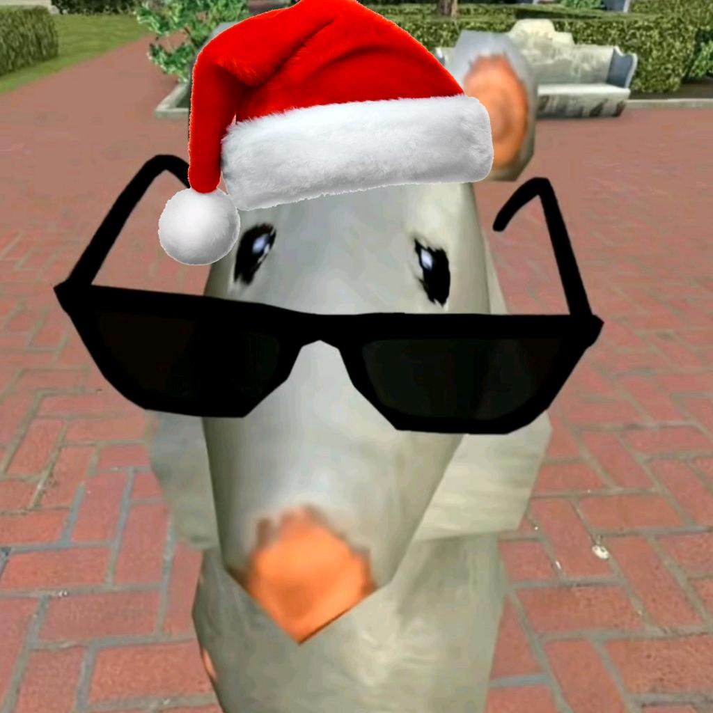 上网为了看臭猫