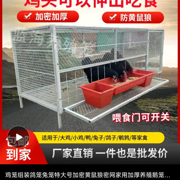 小月鸡笼直销工厂