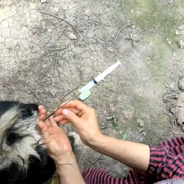 博奥犬舍