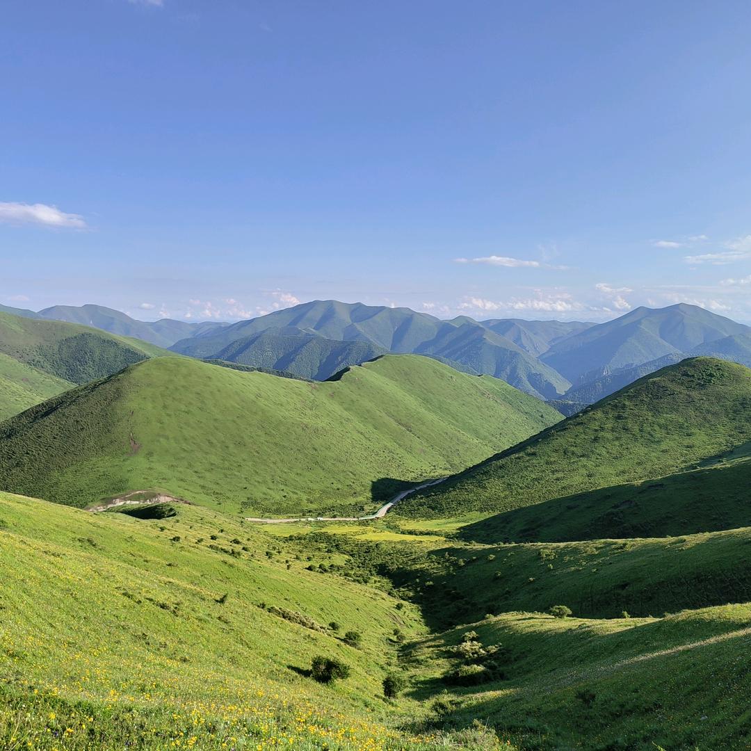 雨后阳光    用户3734521281