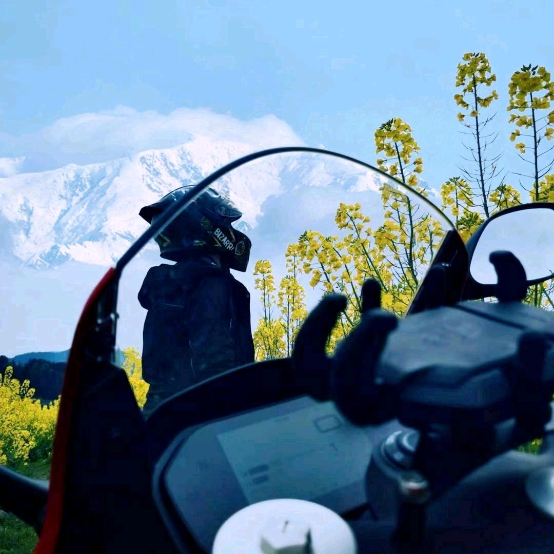 🍐➕🐴