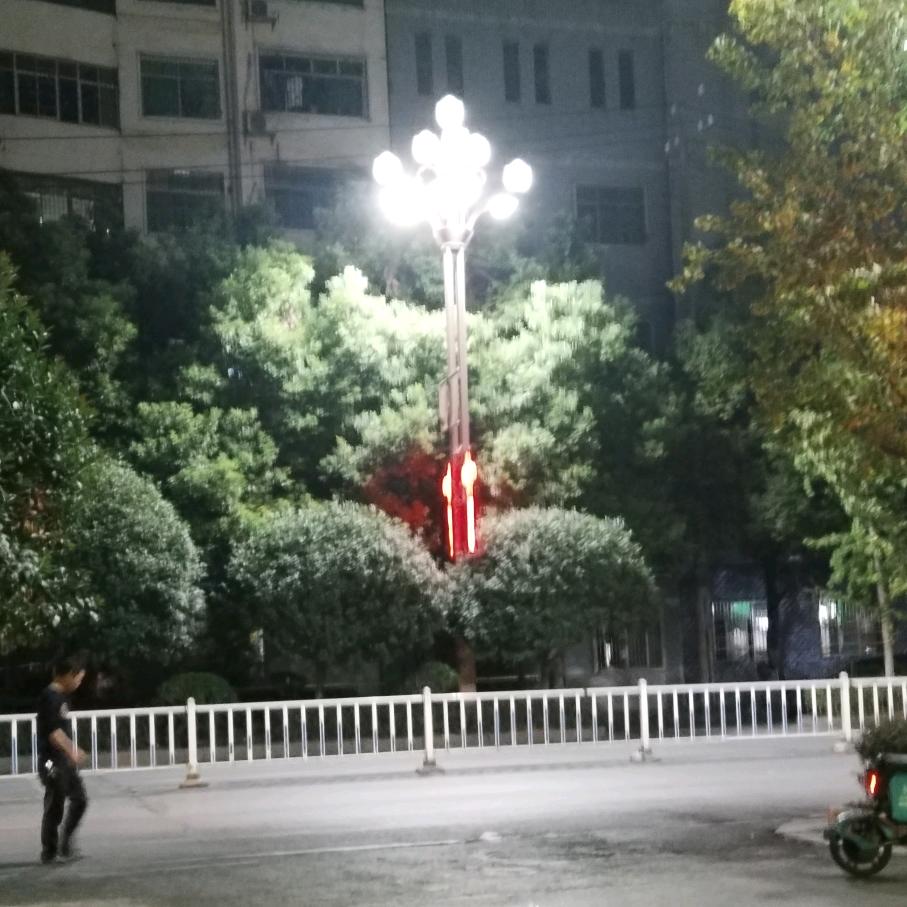 夏夜猫