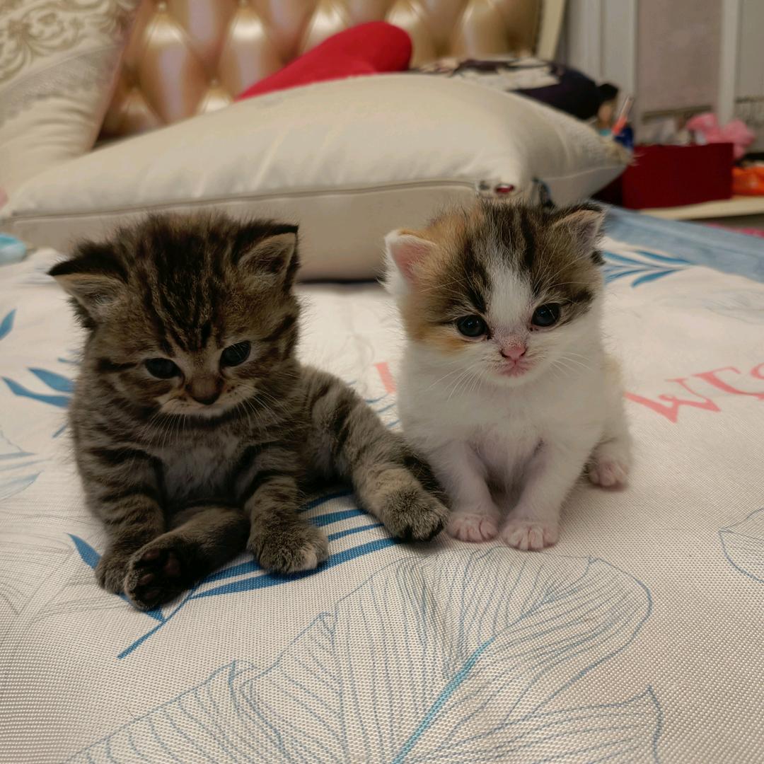 闲庭听雨（zxg）