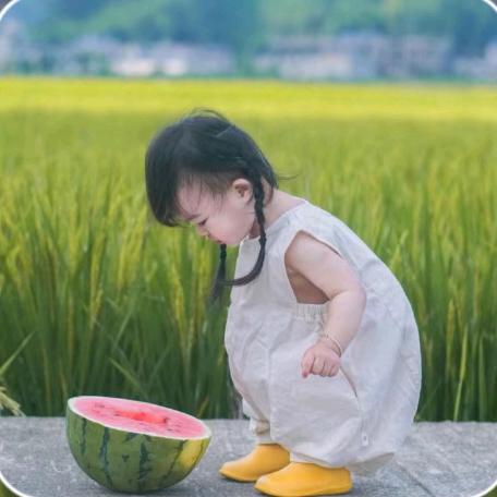 🍃岁月🐇静好🍃