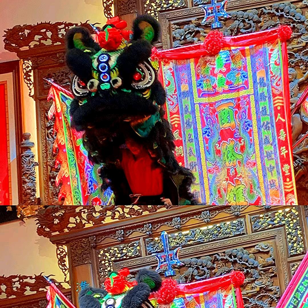 🌸碣石衛城酉胜馆 十五岁免费招生