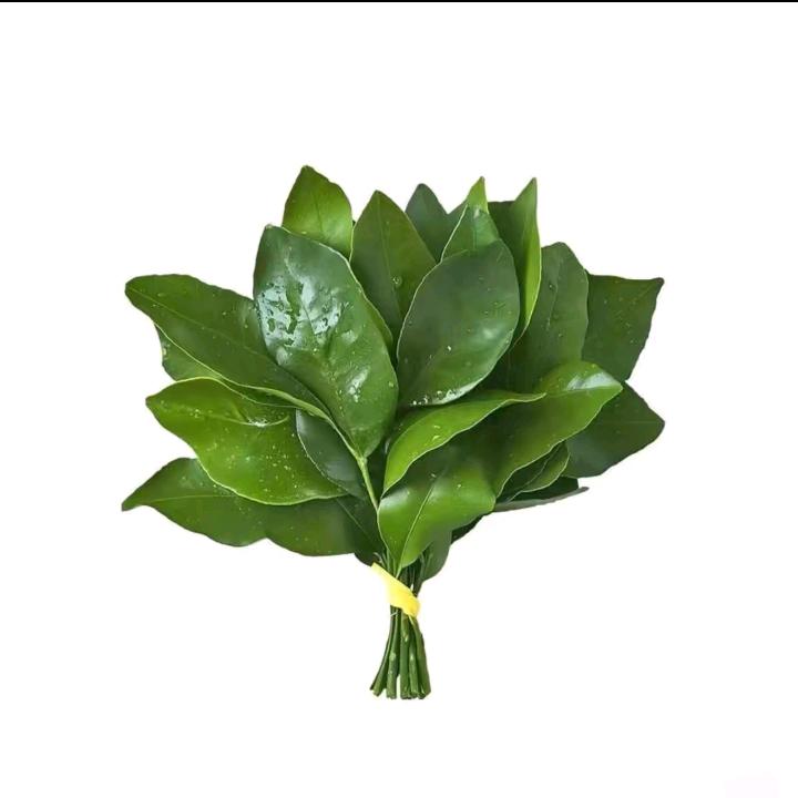 团团吖🇨🇳