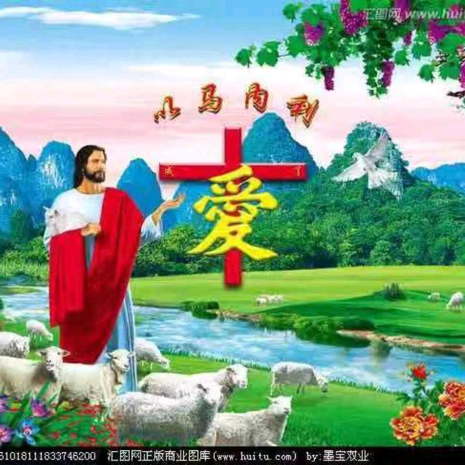 张雁芹