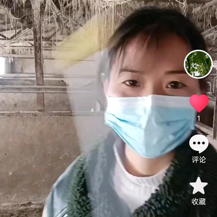 田小草