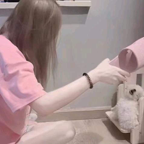 小洋肖恩