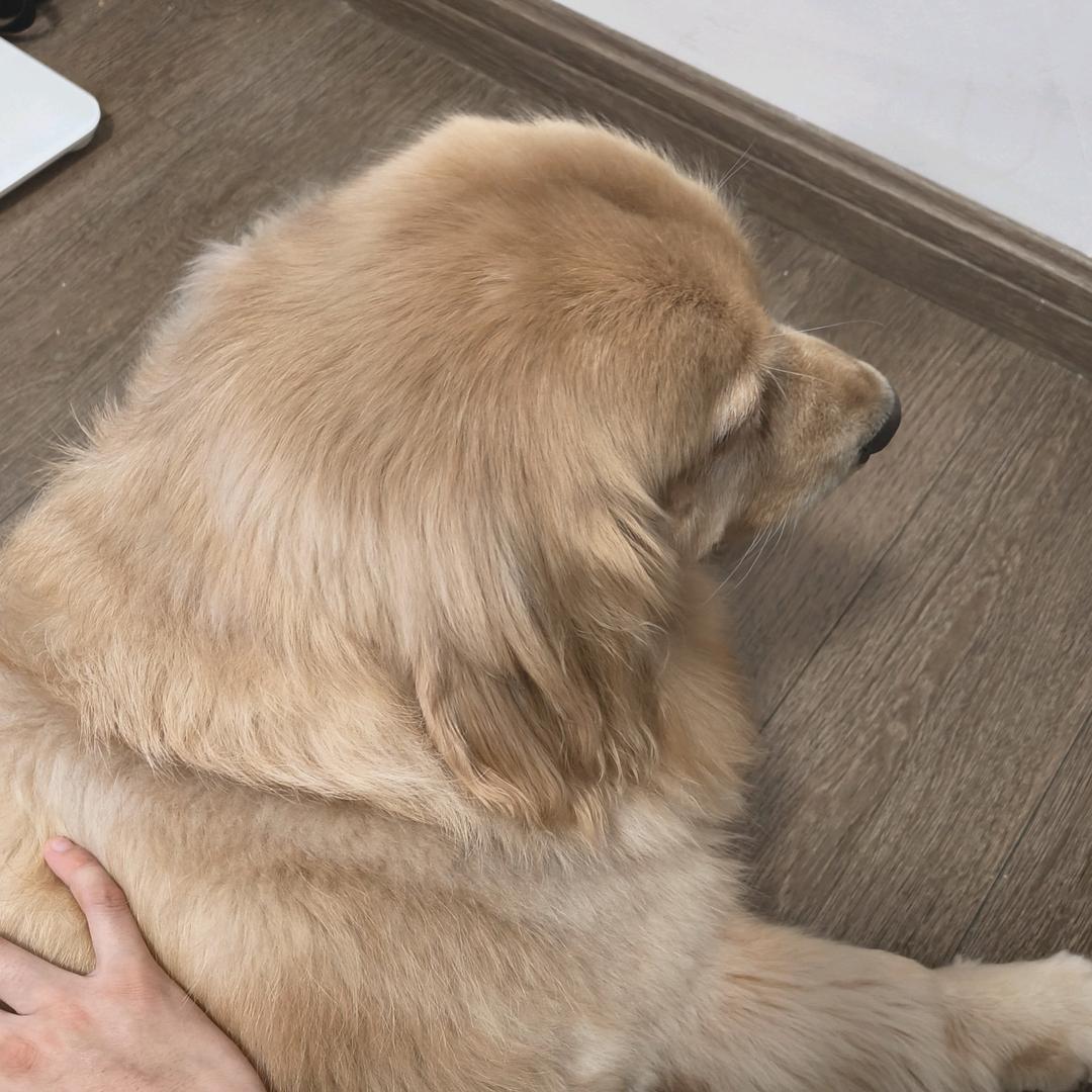 爱吃零食的女娲