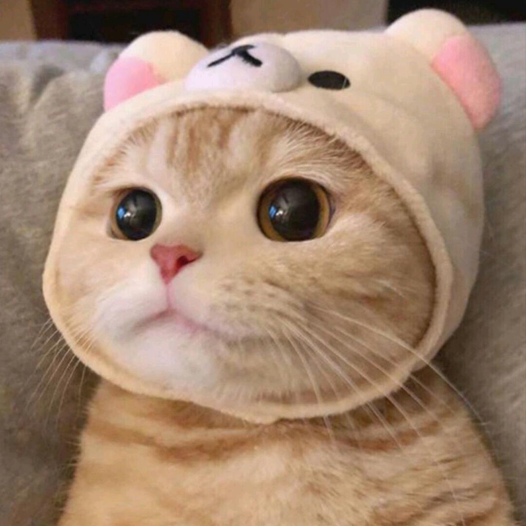 很2的船夫