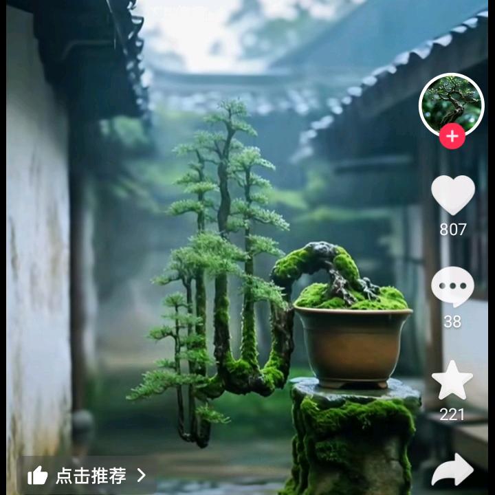 人生如戏