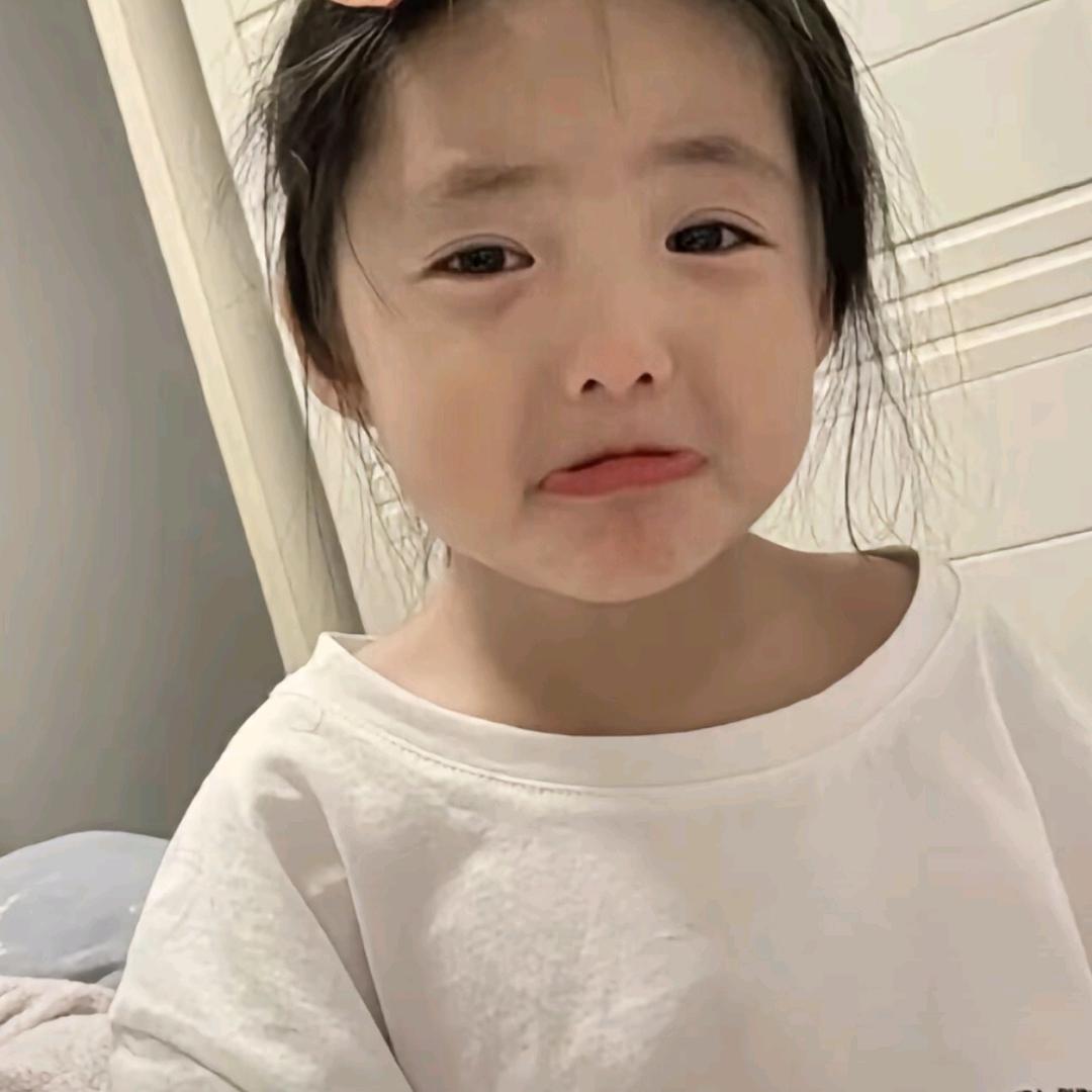 呆呆鱼